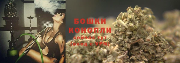 стафф Богородск
